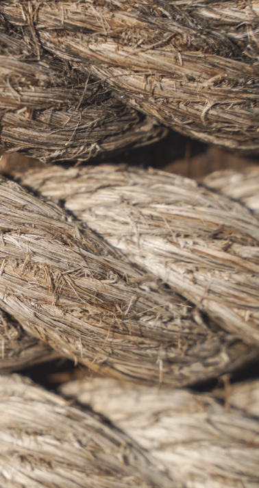 close up of weathered rope